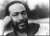 Marvin Gaye : p13212d32y5