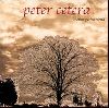 Peter Cetera - Another Perfect World album cover