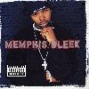 Memphis Bleek - The Understanding album cover