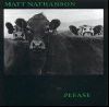 Matt Nathanson - Please album cover