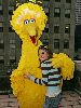 Maria Menounos with th yellow Big Bird pictures