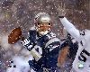 Athlete American football player Tom Brady pictures