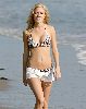 Actress Heidi Montag zibra bikini pictures