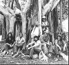 The Allman Brothers Band : p10738vy5m0