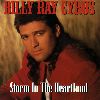 Billy Ray Cyrus - Storm In The Heartland album cover