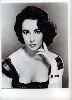 Elizabeth Taylor : 039 61299