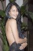 Persia White : Persia White-16