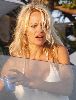 Hot Pamela Anderson picture/pic in a sexy white dress