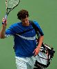 Tennis player Andy Murray blues pictures