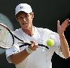 Tennis player Andy Murray pictures