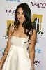 Megan Fox  pictures at the 11th Annual Hollywood Film Festival Hollywood Awards