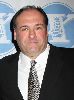 James Gandolfini : James Gandolfini- Joe DiMaggio Award Gala2