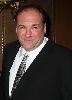 James Gandolfini : James Gandolfini- Joe DiMaggio Award Gala3