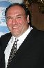 James Gandolfini : James Gandolfini- Joe DiMaggio Award Gala0