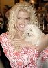 Anna Nicole Smith : 46413