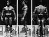 Arnold Schwarzenegger : Arnold-Schwarzenegger- 27