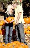 spence pratt : 83917 heidi-montag-spence-pratt-pumpkins-104-5 122 254lo