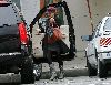 Jessica Alba wearing a black coat and a red rose hat in Los Angeles on December 18th 2007