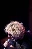 Sammy Hagar : Sammy Hagar- Sammy Hagar And The Wabos In Concert36