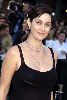 Carrie Anne Moss : carrie- anne moss8