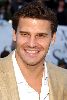 David Boreanaz : david boreanaz13