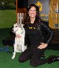 Kate Walsh : Kate Walsh- Kate Walsh Opens Pedigree Dog Store in Times Square0