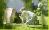 Shiloh Nouvel Jolie-Pitt : shiloh-nouvel-walks 406x254