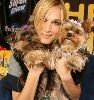 Molly Sims : lucky-lucky-dogs 285x303