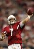 Matt Leinart : matt-leinart-go-deep 379x542