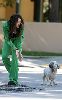 Miley Cyrus : miley-cyrus-stray-dog