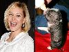 Shanna Moakler : shanna-moakler-and-pet-pig 400x300