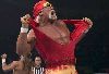 Hulk Hogan : hulk-hogan 423x290