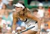 Martina Hingis : 83428 1 122 576lo 2