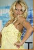 Pamela Anderson : pamela anderson92 4875f4c23a85f