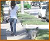 Rachel Bilson out in jeans walking the dog