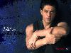 Shah Rukh : sha11v 1024