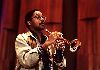 Wynton Marsalis : 101