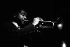 Wynton Marsalis : 154