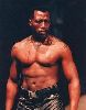 Wesley Snipes : Wesley-Snipes-294x373-15kb-media-1101-media-94474-1102209901