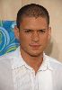 Wentworth Miller  III  : ActorWentwor Cohen 14560738