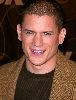 Wentworth Miller  III  : wentworth-miller-picture-3