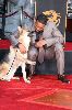 Will Smith : photo39