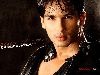 Shahid Kapoor : sha12v 1024