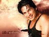 Shahid Kapoor : sha9nov06 1024