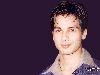 Shahid Kapoor : shahid kapoor 016 1024x768 phgu