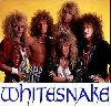 Whitesnake : whitesnakeXCVXC