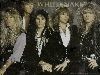 Whitesnake : Whitesnakewerw