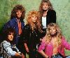 Whitesnake : Whitesnakehui