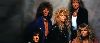 Whitesnake : STAR718-whitesnake