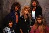 Whitesnake : whitesnake-13085